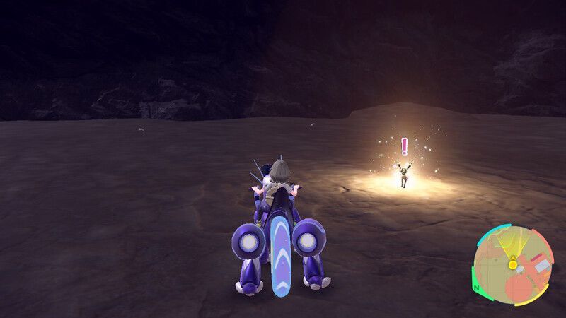 ブラッキーがいる周囲の様子