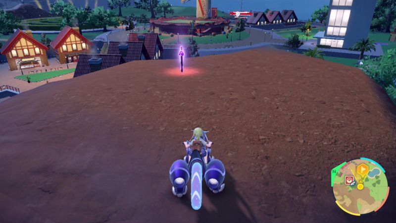 紫の杭がある周囲の様子7