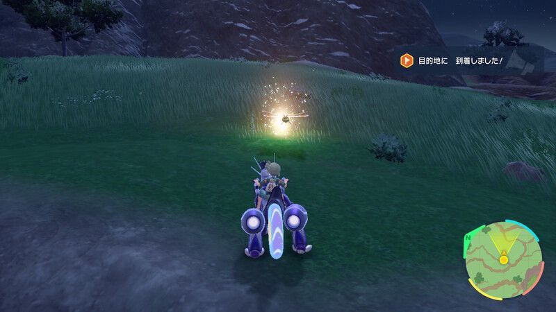 カジッチュがいる周囲の様子