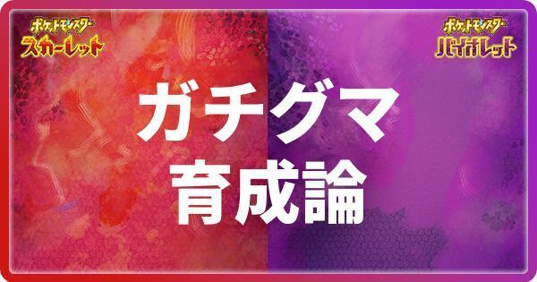 ガチグマの育成論