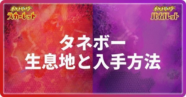 タネボーの生息地と入手方法