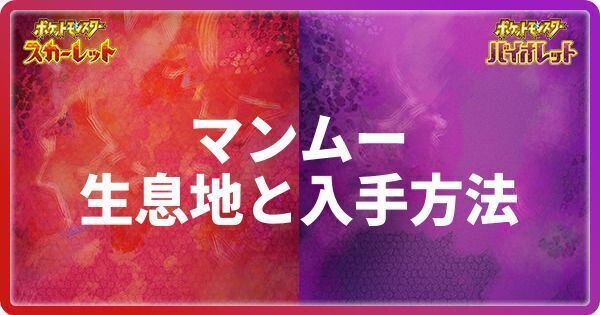 マンムーの生息地と入手方法