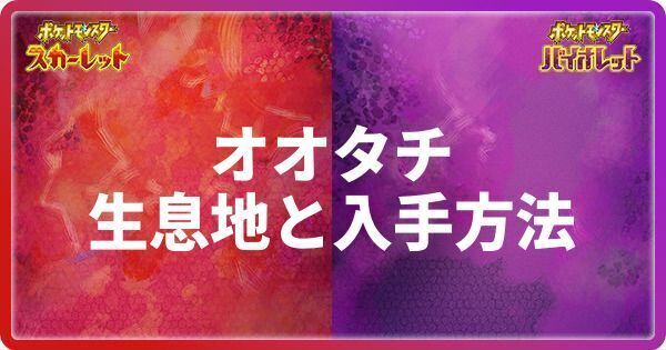 オオタチの生息地と入手方法