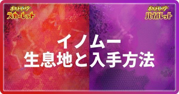 イノムーの生息地と入手方法