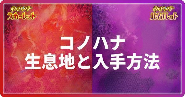 コノハナの生息地と入手方法