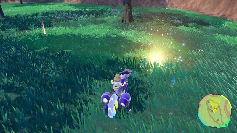 ヤトウモリがいる周囲の様子