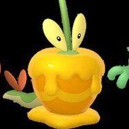 カジッチェ色違い