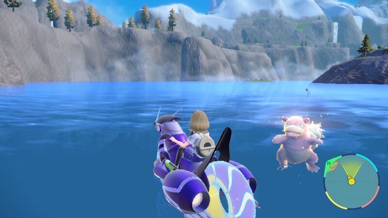 ヤドランがいる周囲の様子