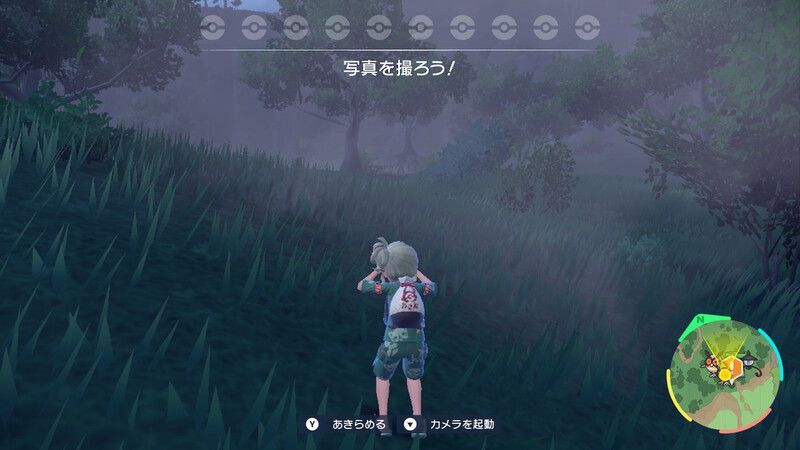 ポケモンの写真を撮る