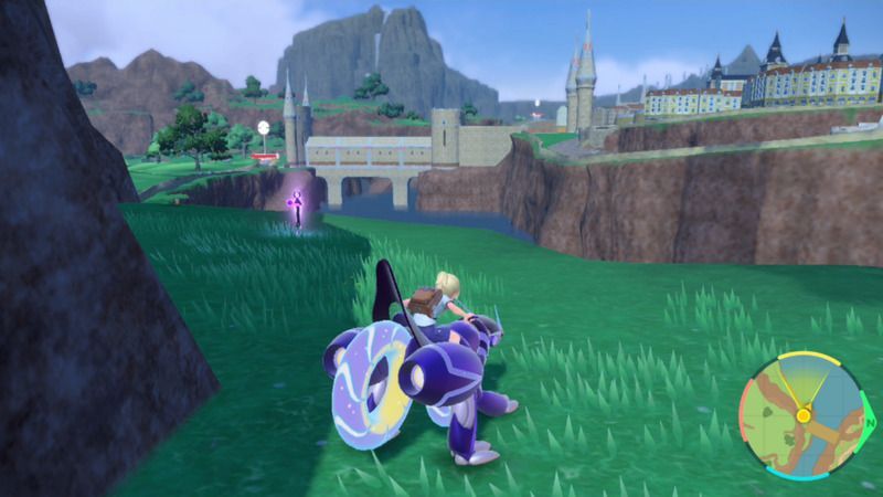 紫の杭がある周囲の様子4