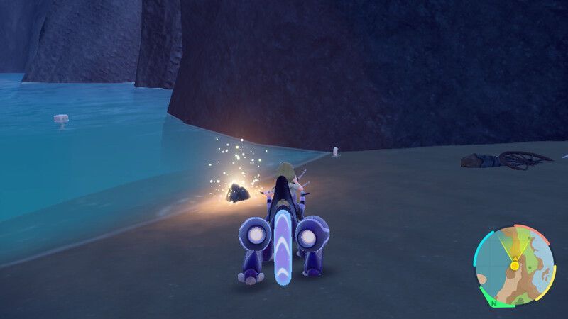 ウミトリオがいる周囲の様子