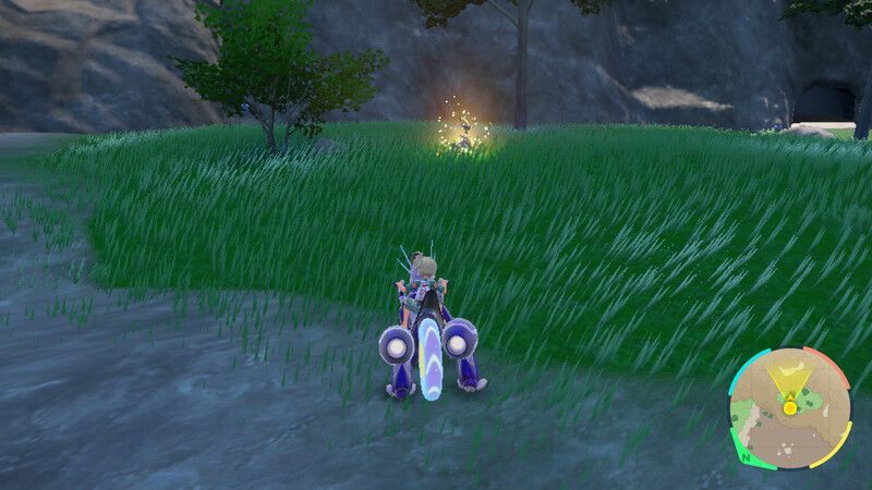 ジャランゴがいる周囲の様子