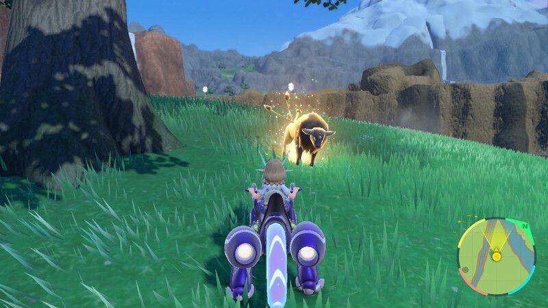 パルデアケンタロスがいる周囲の様子