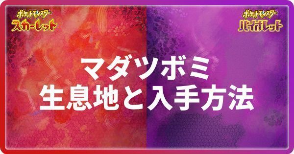 マダツボミの生息地と入手方法