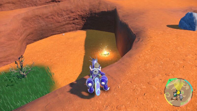 ノコッチがいる周囲の様子