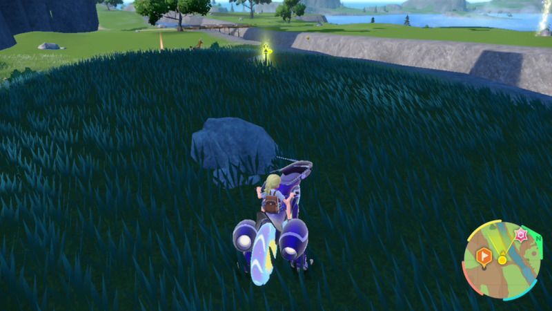 黄色の杭がある周囲の様子2