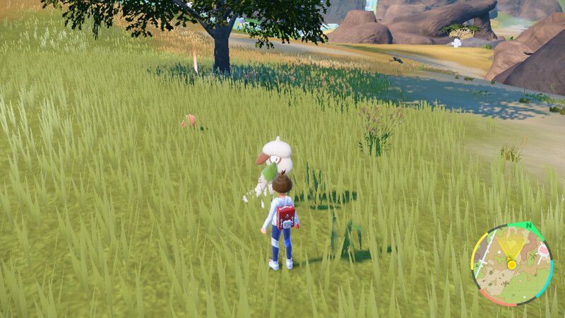 木の近くにいるドーブルを探す