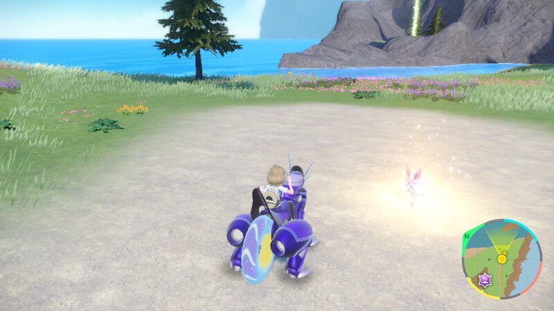 ニンフィアがいる周囲の様子