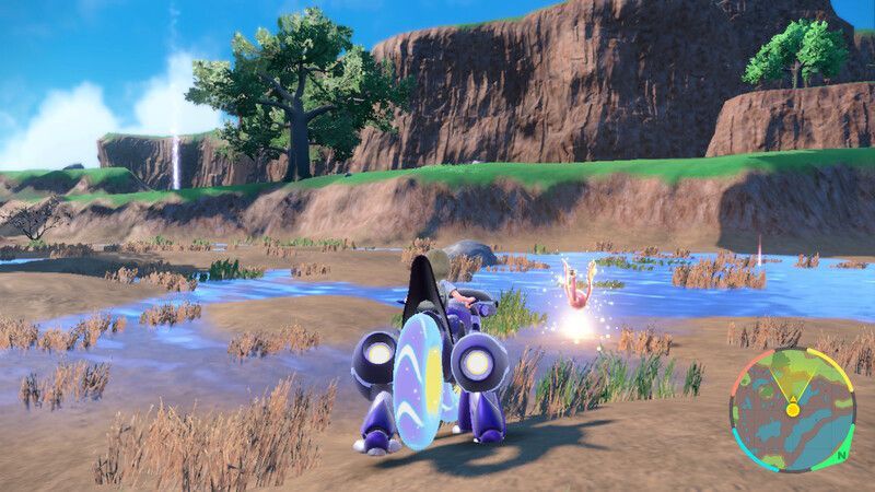 カラミンゴがいる周囲の様子