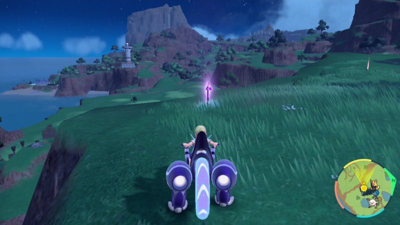 紫の杭がある周囲の様子8