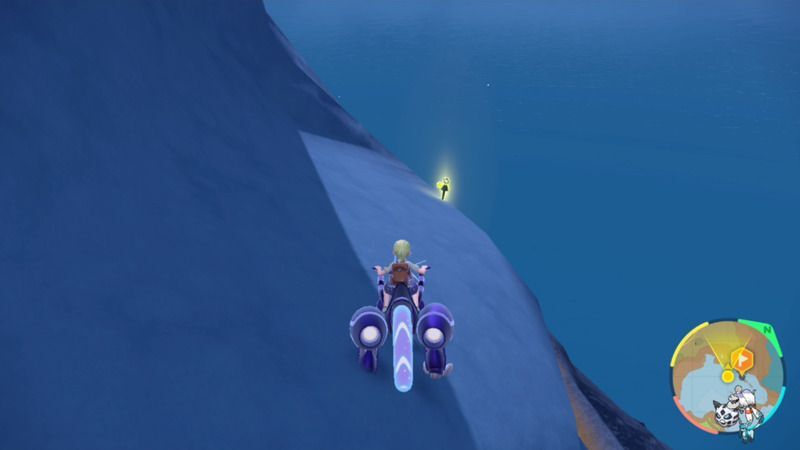 黄色の杭がある周囲の様子8