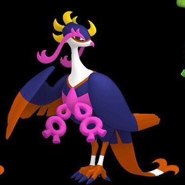 キチキギス色違い