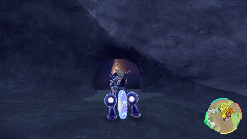 サンドパンがいる周囲の様子