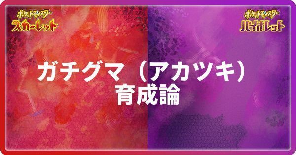 ガチグマ(アカツキ)の育成論と対策