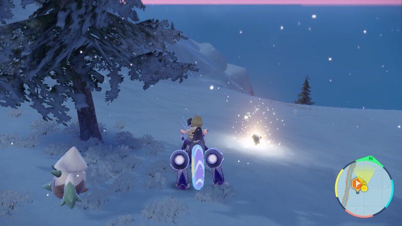 セビエがいる周囲の様子