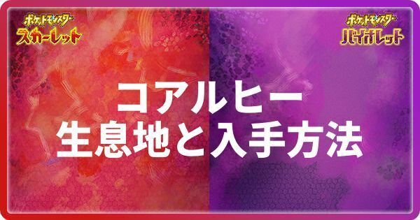 コアルヒーの生息地と入手方法