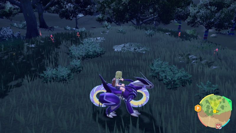 しるしの木立ち付近の外観