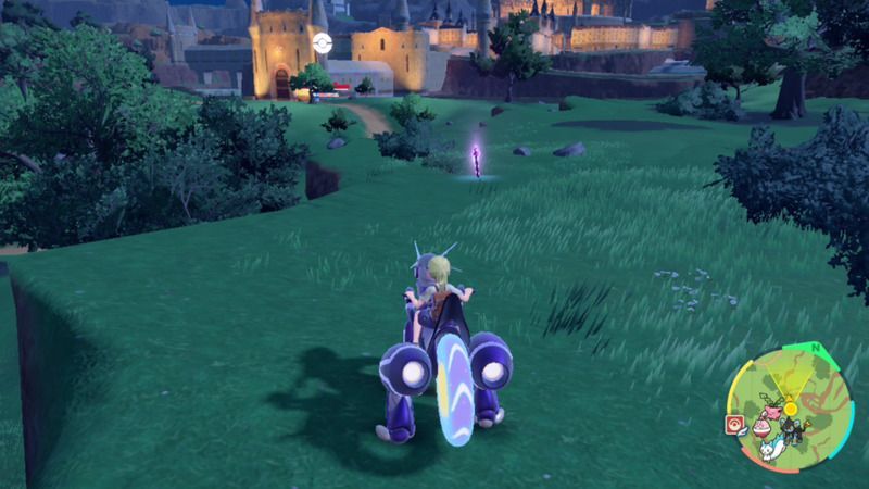 紫の杭がある周囲の様子2