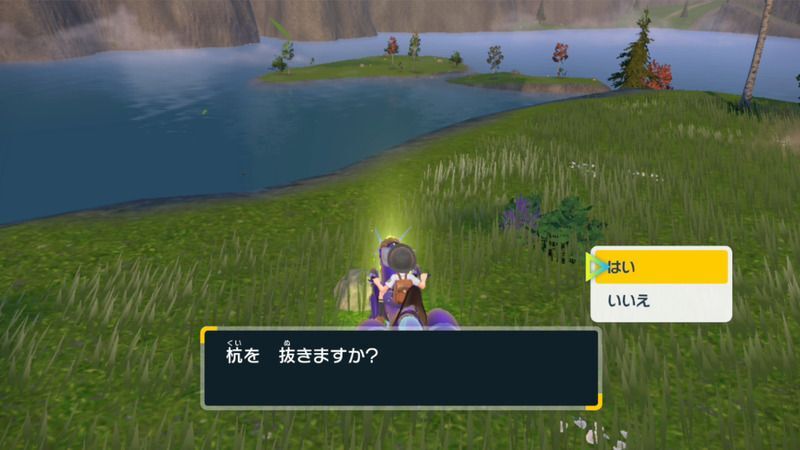 杭を抜く
