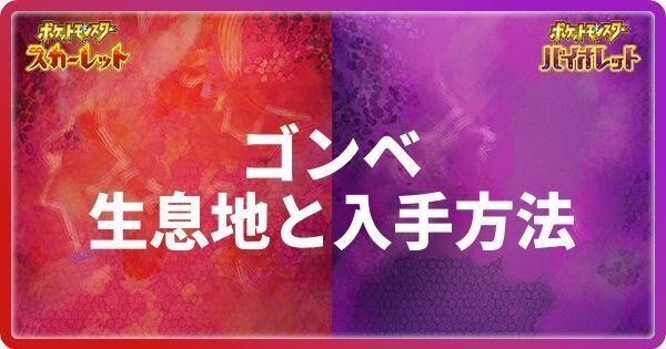 ゴンベの生息地と入手方法