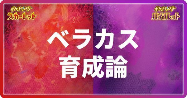 ベラカスの育成論