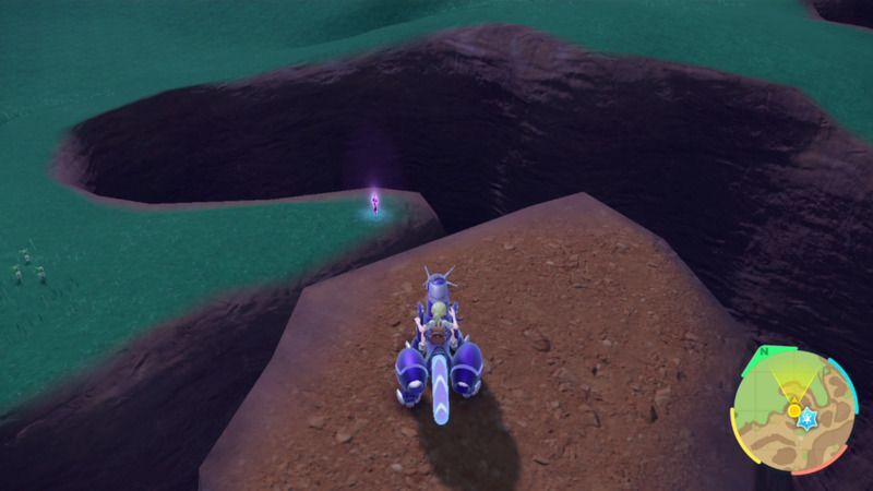 紫の杭がある周囲の様子6