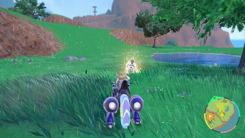 ハカドックがいる周囲の様子