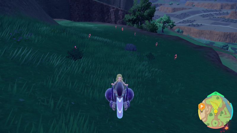 南6番エリアの崖付近の外観