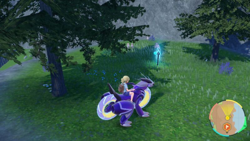 青の杭がある周囲の様子8