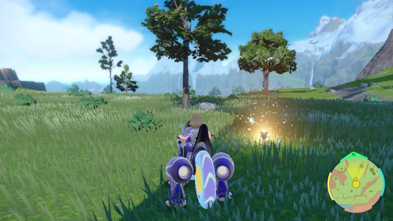 イワンコがいる周囲の様子