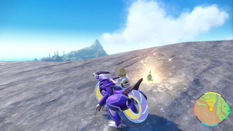 キバゴがいる周囲の様子