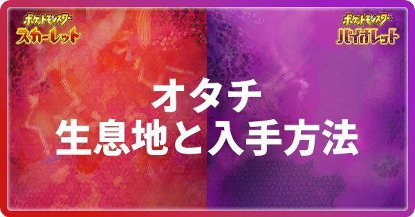 オタチの生息地と入手方法