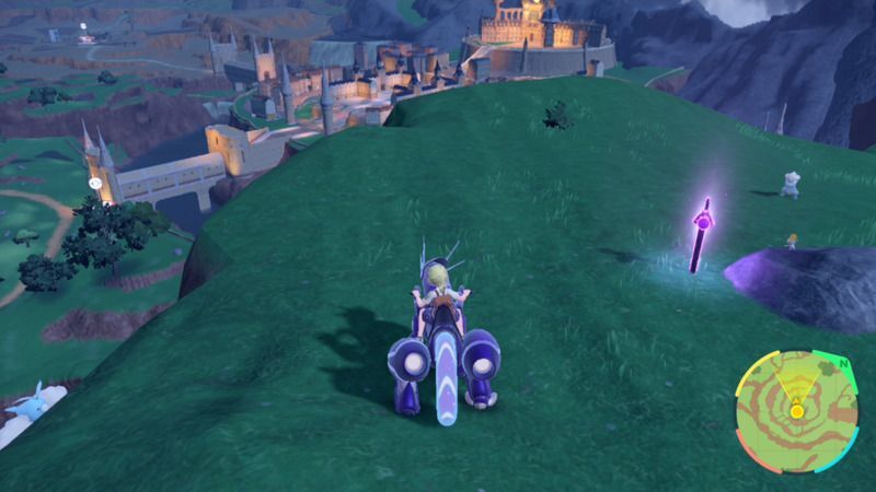 紫の杭がある周囲の様子3