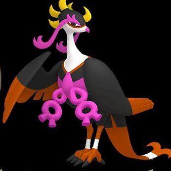 キチキギス原色