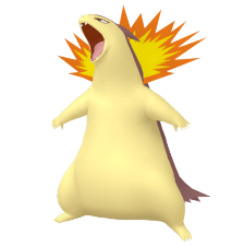 色違いバクフーン