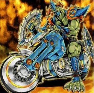 ディスクライダー