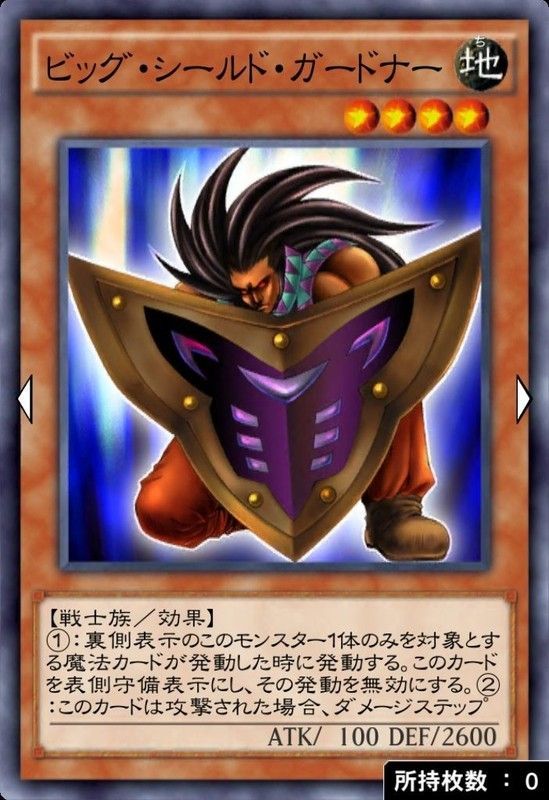 ビックシールドガードナー
