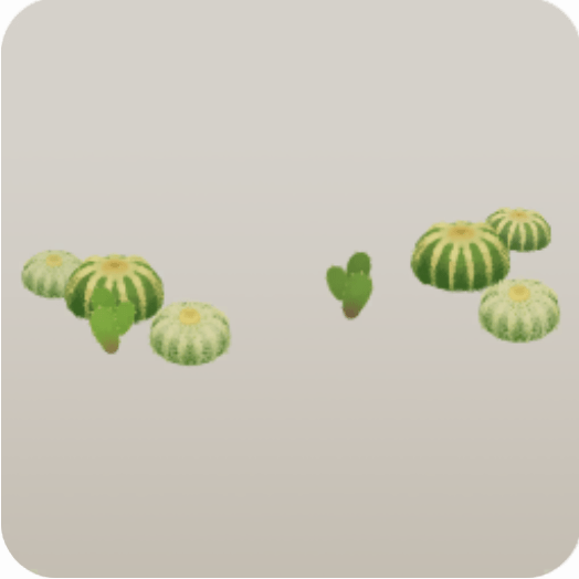 まばらに生えるサボテン