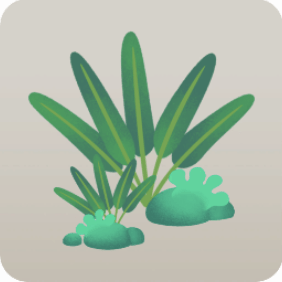 原生林の植物たち