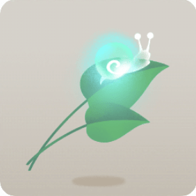 原生林の葉っぱ